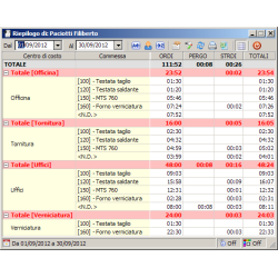 Software Centri di Costo, Commesse, Mansioni, dipendenti