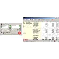 Software Centri di Costo, Commesse, Mansioni, dipendenti