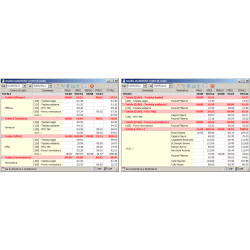 Software Centri di Costo, Commesse, Mansioni, dipendenti